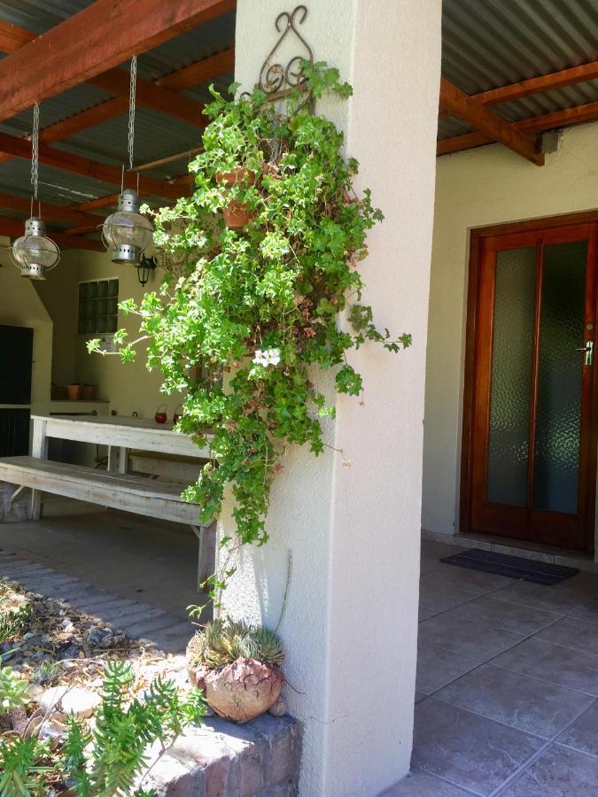 Pane Vivente Garden Cottage Beaufort West Exterior photo